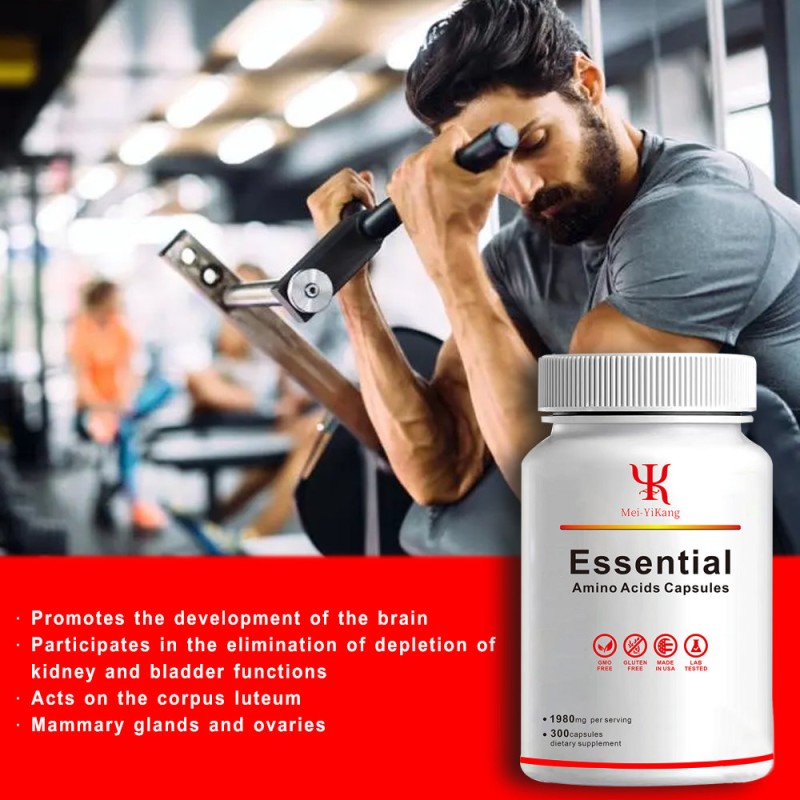 Amino Acid Capsules Manufacturer - OEM BCAA Muscle Gain Sport Nutrition