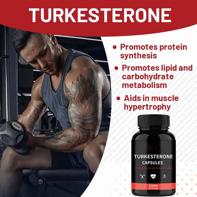 Turkesterone Capsules Manufacturer - OEM/ODM 500mg Muscle Building Supplement