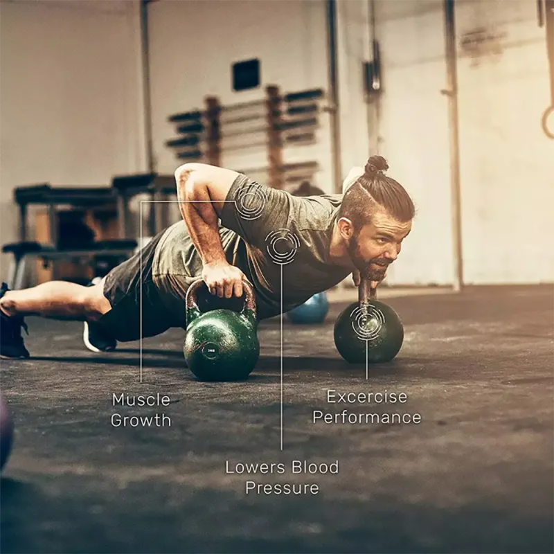 Whey Protein Concentrate Manufacturer - OEM Gold Standard 450g Bulk Supply