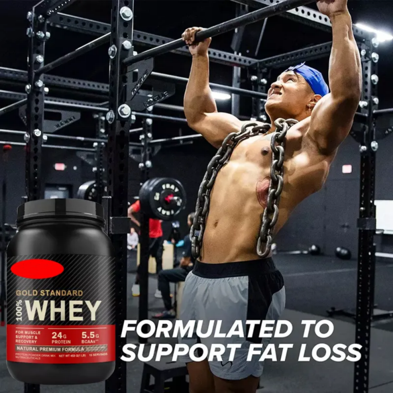 Whey Protein Powder Manufacturer - Custom Gold Standard 1lb 5lb Bulk Wholesale