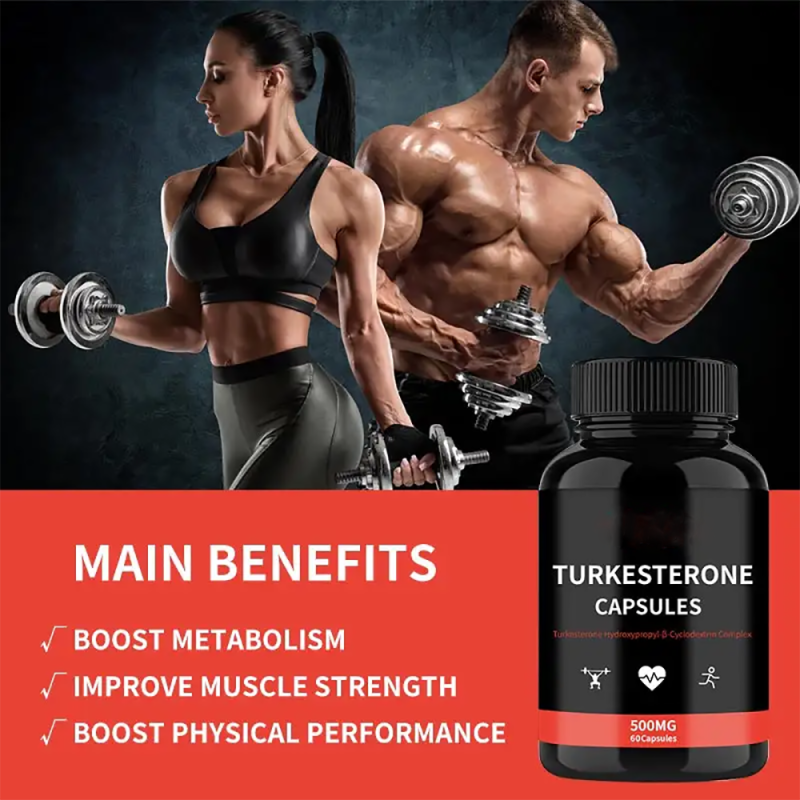 Turkesterone Capsules Manufacturer - OEM/ODM 500mg Muscle Building Supplement