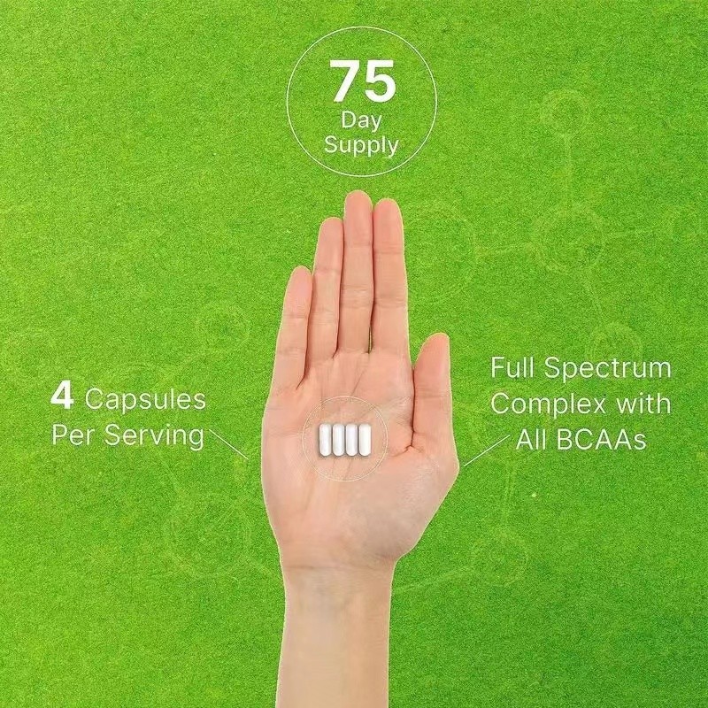 Amino Acid Capsules Manufacturer - OEM BCAA Muscle Gain Sport Nutrition