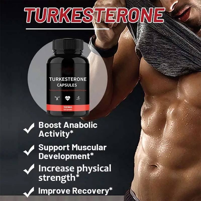 Turkesterone Capsules Manufacturer - OEM/ODM 500mg Muscle Building Supplement