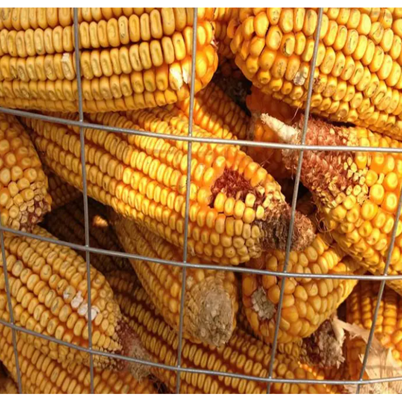 BBQ Wire Mesh Manufacturer - Factory Wholesale Square Crimped Mesh