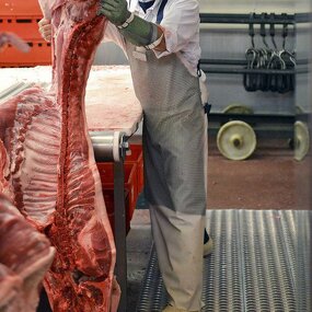 Cutting Resistant Apron Manufacturer - Stainless Steel Slaughterhouse Apron