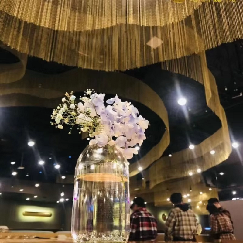 Fireproof Decorative Mesh Manufacturer - Custom Aluminum Spiral Curtain