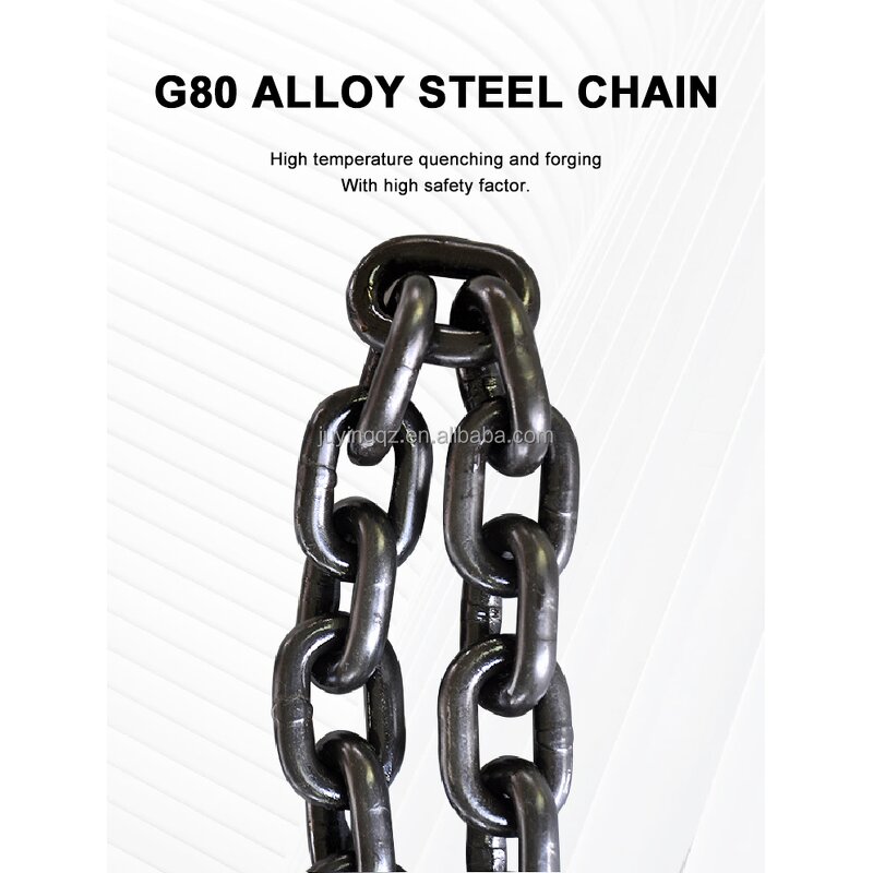 Hand Lever Block Manufacturer - OEM Manual Lifting Chain 1.5m Lever Chain Block