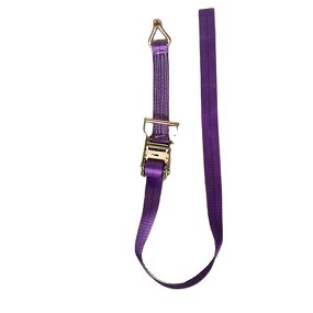 Tie Down Strap Manufacturer - OEM 10 Ton China 5000lbs Custom Ratchet