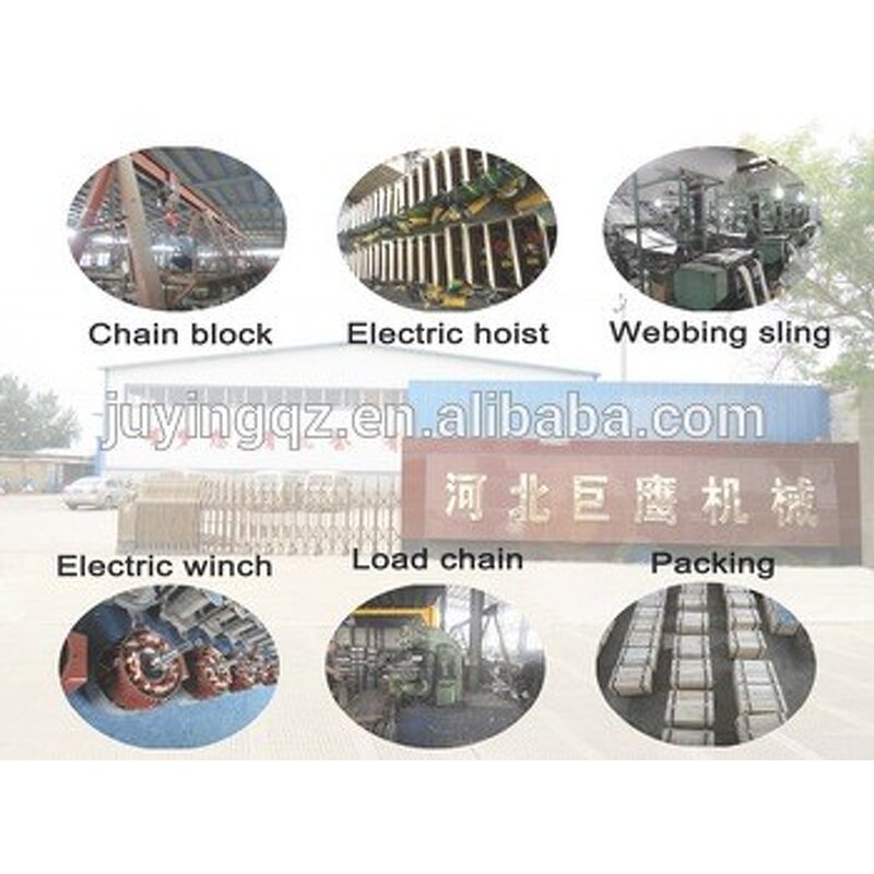 Ratchet Tie Down Strap Manufacturer - OEM 1.5 Inch 3T Cargo Lashing Belt Tensioner