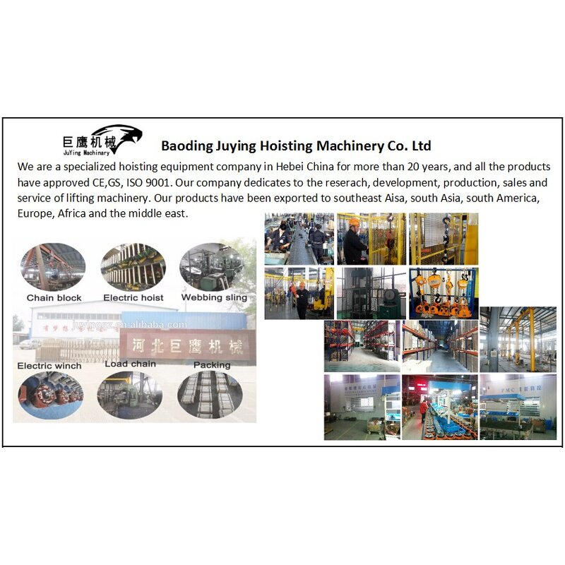 Ratchet Tie Down Strap Manufacturer - OEM 1.5 Inch 3T Cargo Lashing Belt Tensioner