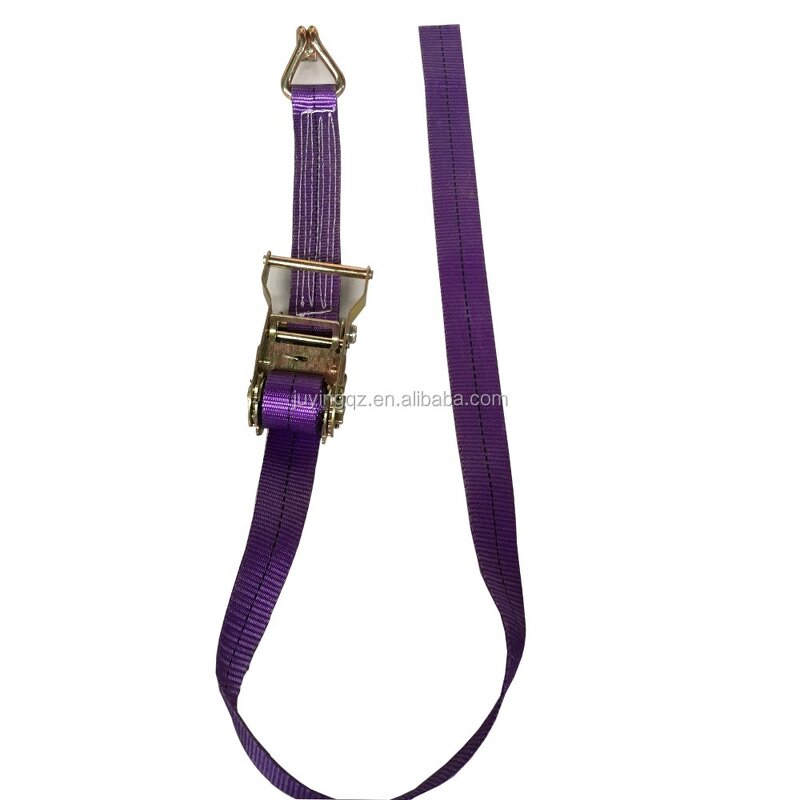 Ratchet Strap Manufacturer - OEM Cargo Lashing Belt Ratchet Tensioner E Track