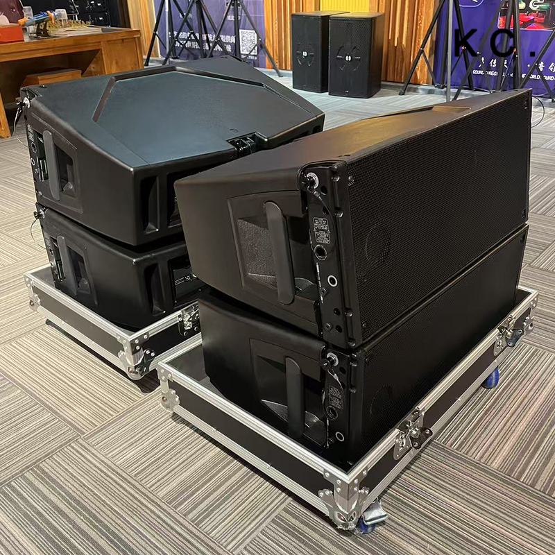 Line Array Speaker Manufacturer - OEM Hdl 20a Active 10 Inch Passive Stage