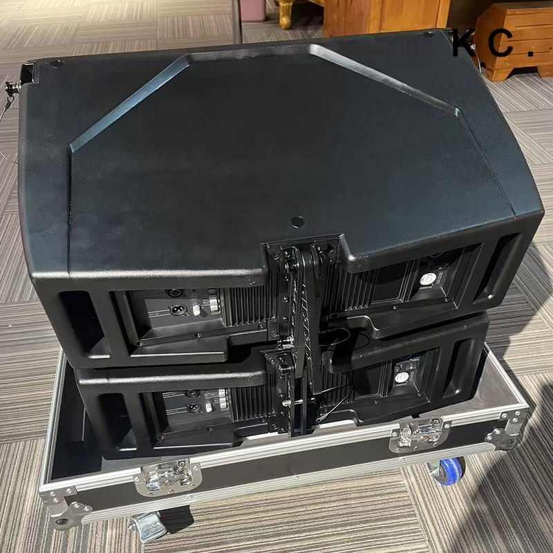 Line Array Speaker Manufacturer - OEM Hdl 20a Active 10 Inch Passive Stage