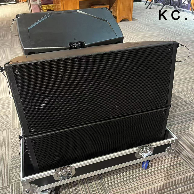 Line Array Speaker Manufacturer - OEM Hdl 20a Active 10 Inch Passive Stage