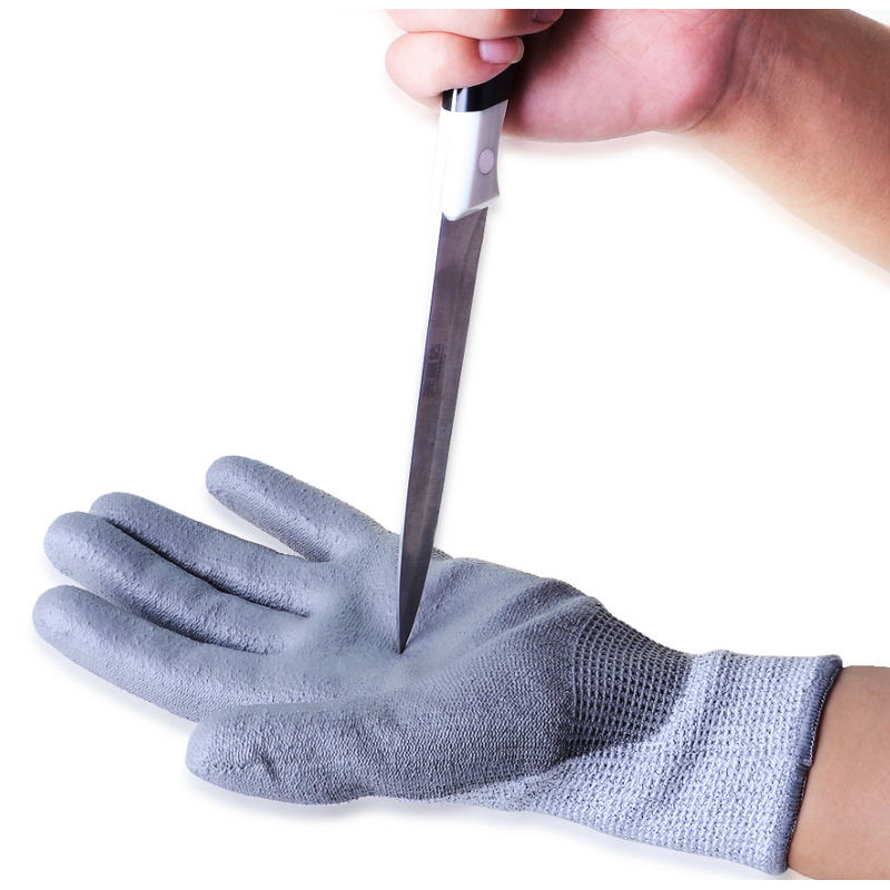 Industrial Gloves Factory - HPPE Knitted Latex Palm Coated Cut Resistant