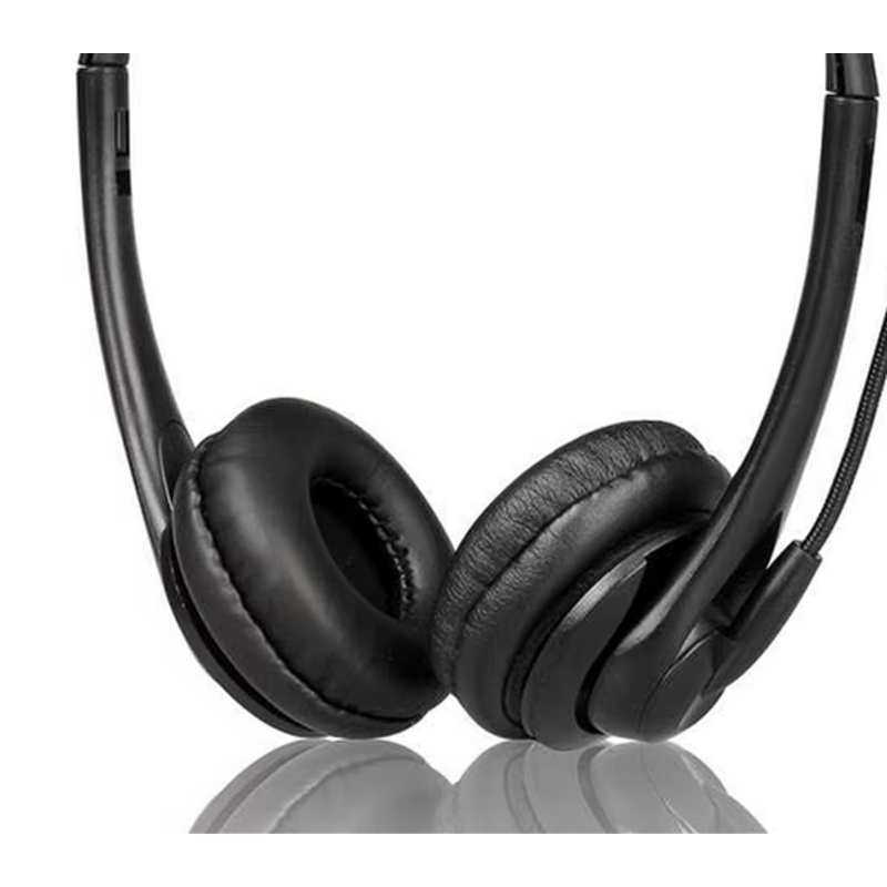 Type C Headset Manufacturer - OEM Good Quality with Microphone Noise Cancelling