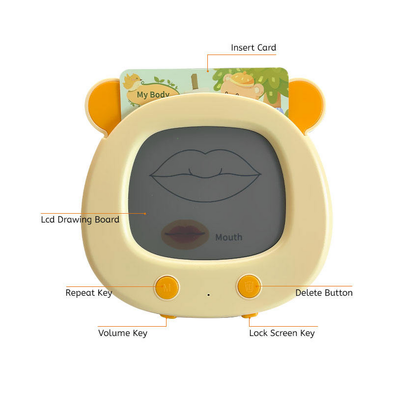 Language Learning Device Manufacturer - OEM Customized Preschool Talking Flash Cards Drawing