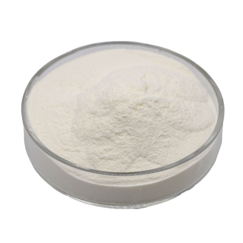 Whey Protein Supplier - Custom Logo Sports Nutrition Bulk