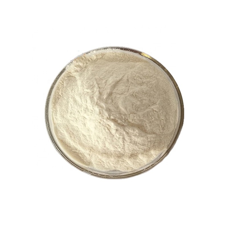 Coffee Candy Factory - Mint Arabica Beans 85% Xylitol 0 Sucrose