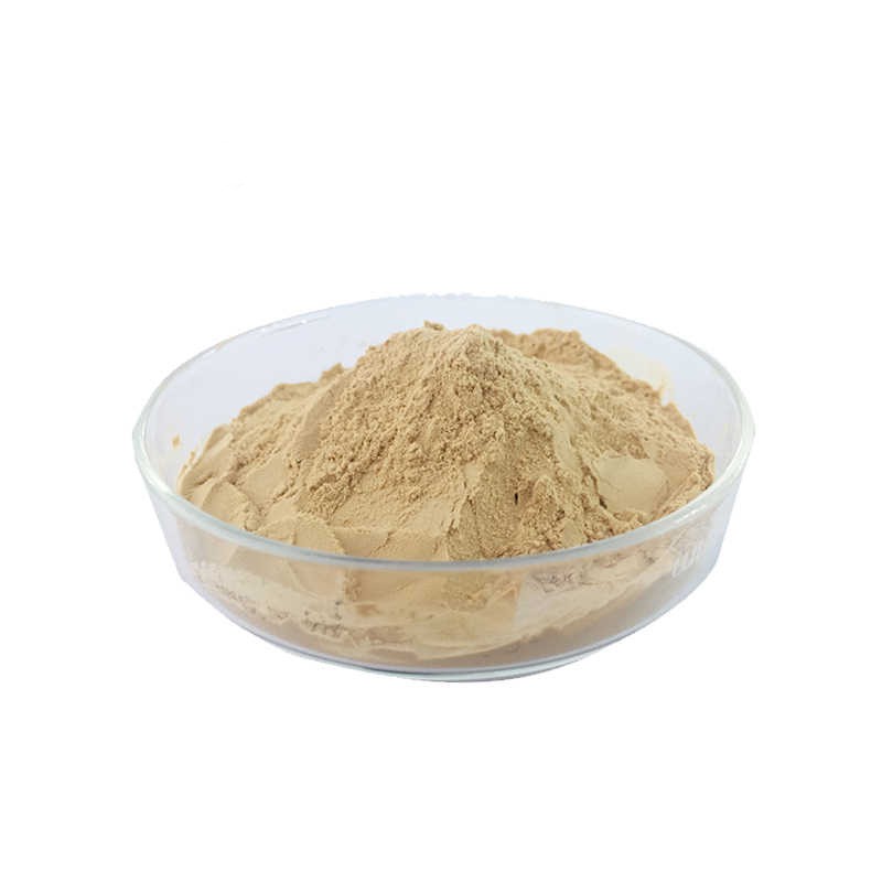Protein Powder Supplier - Muscul Bodybuilding Soy Protein Isolate