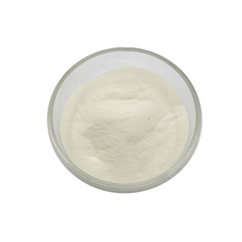 Coffee Candy Factory - Mint Arabica Beans 85% Xylitol 0 Sucrose