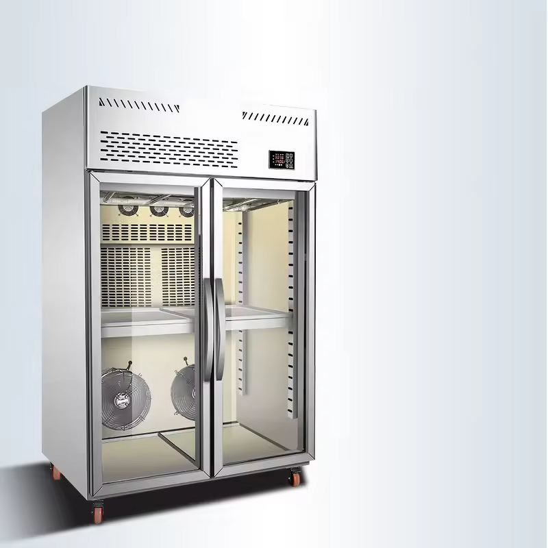 Dry Aging Fridge Factory - Commercial Beef Dry Aged Machine Chicken Fish Cooling