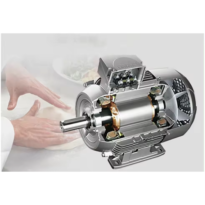 Meat Ball Maker Factory - Professional Commercial Full Automatic Stainless Steel Beef