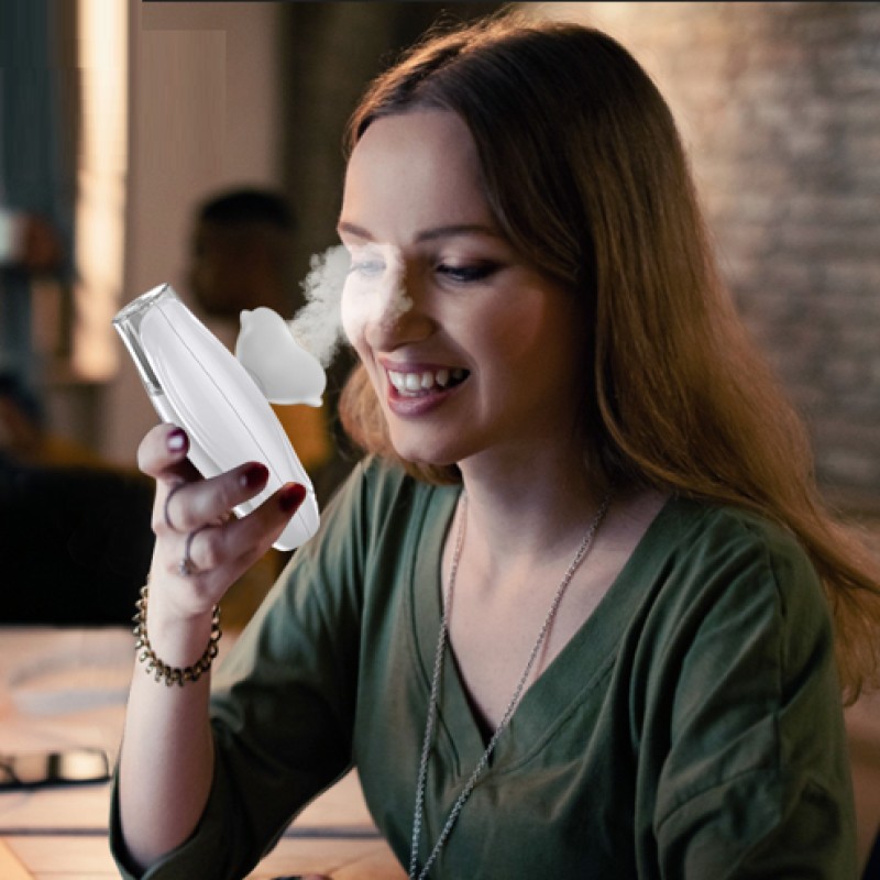 Face Steamer Factory - Wholesale Nano Ion Mist Private Brand