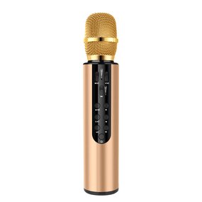 Wireless Microphone Factory - OEM/ODM Bluetooth Karaoke Handheld Microphone 3-in-1