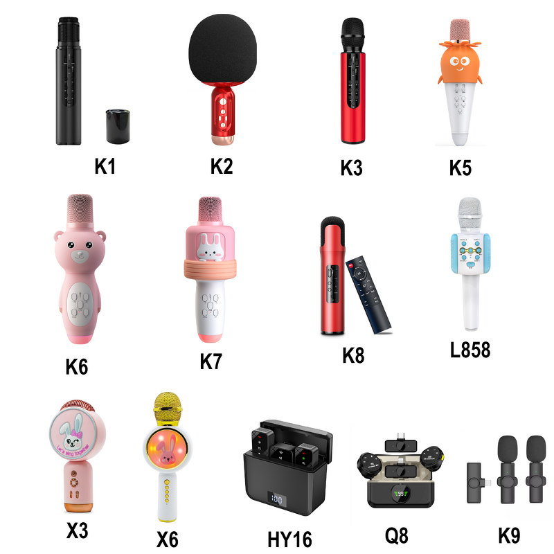 Wireless Microphone Factory - OEM/ODM Hypercardioid Condenser Mic for Singing Studio