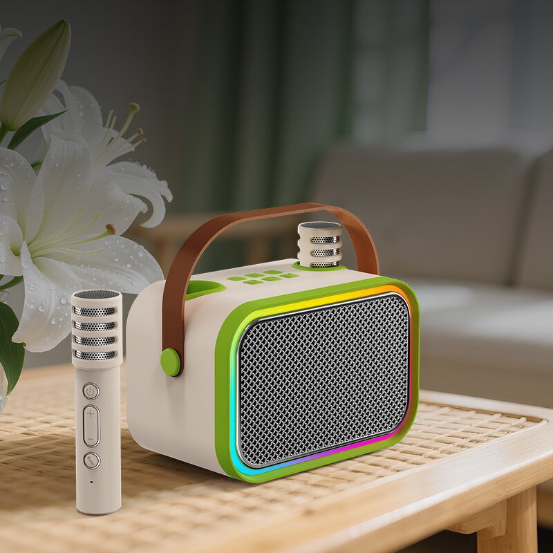Outdoor Speaker Factory - OEM/ODM High Quality Karaoke Speaker Wireless Microphone