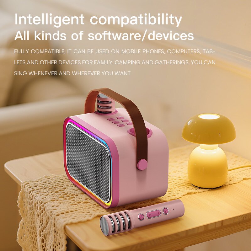 Outdoor Speaker Factory - OEM/ODM High Quality Karaoke Speaker Wireless Microphone