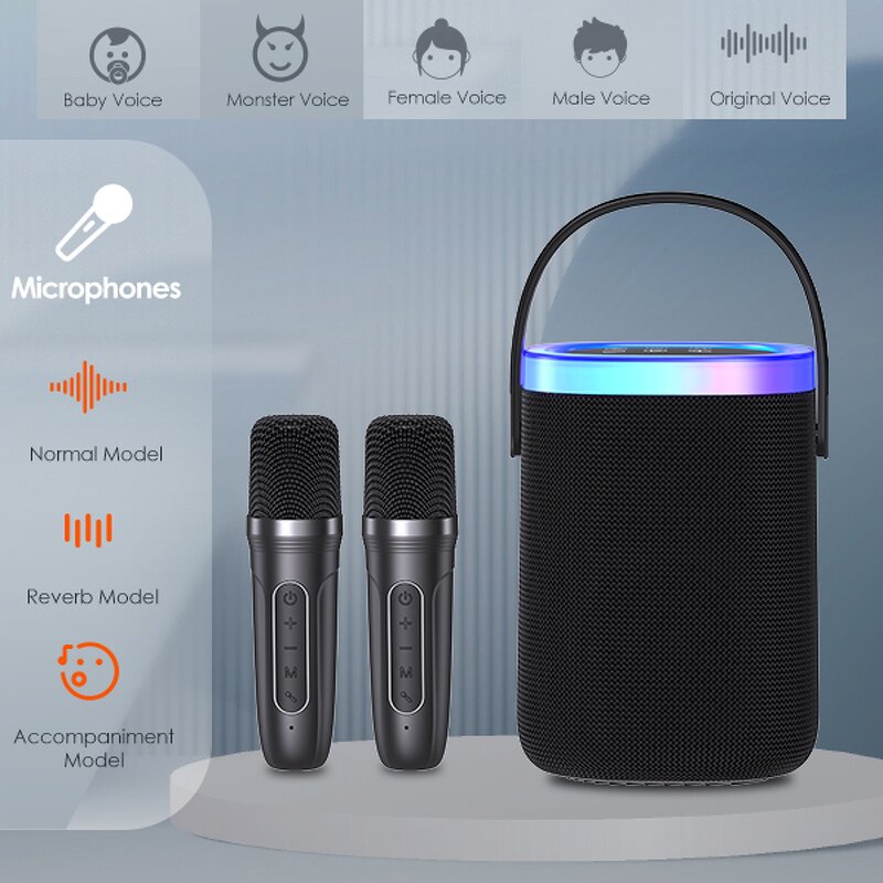 Speaker System Factory - OEM/ODM Customized Home Theatre Party Audio Player