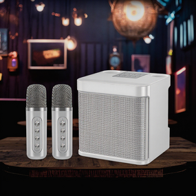 Portable Speaker Factory - OEM/ODM Home Theatre Karaoke Speaker 10W Waterproof