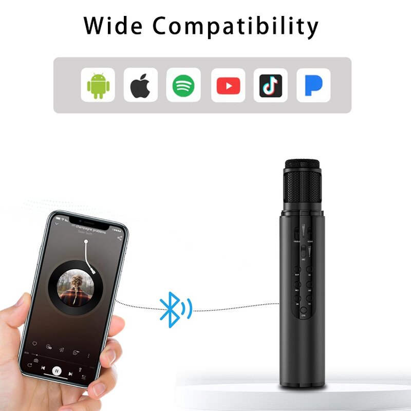 Wireless Microphone Factory - OEM/ODM Professional Handheld Condenser Microphone Type C