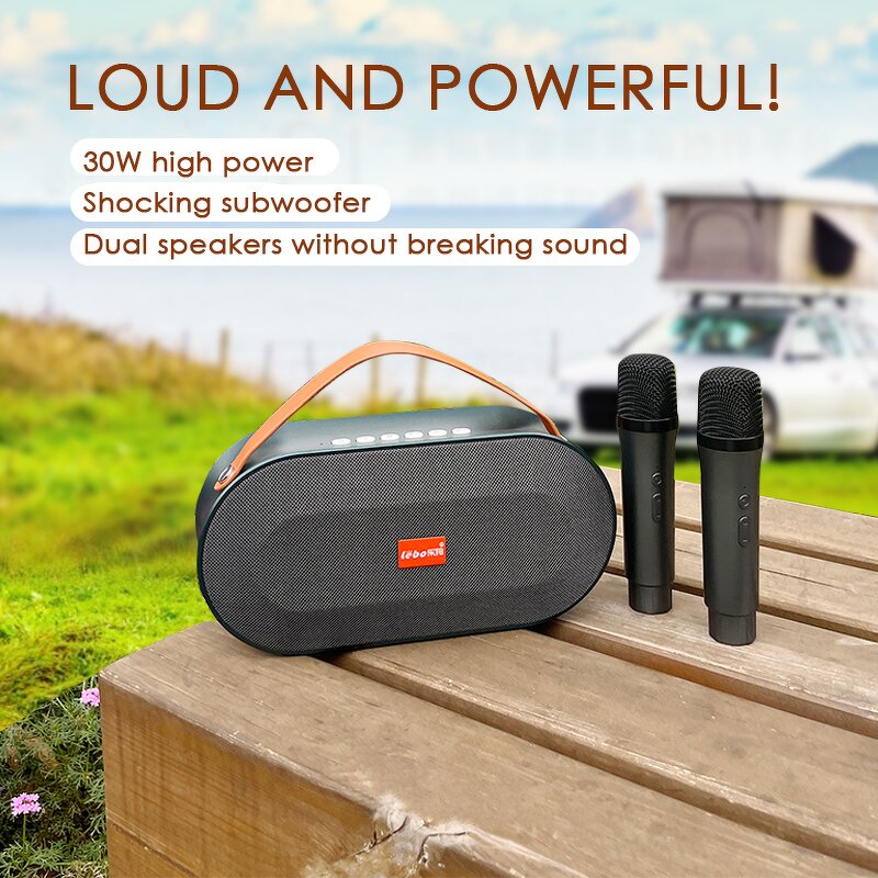 Outdoor Speaker Factory - OEM/ODM 10 Inch Portable Bluetooth Speaker 30W RGB