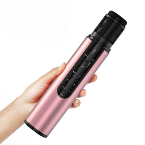 Wireless Microphone Factory - OEM/ODM Professional Handheld Condenser Microphone Type C