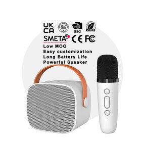 Portable Speaker Factory - OEM/ODM Wireless Microphone Karaoke Machine for Kids