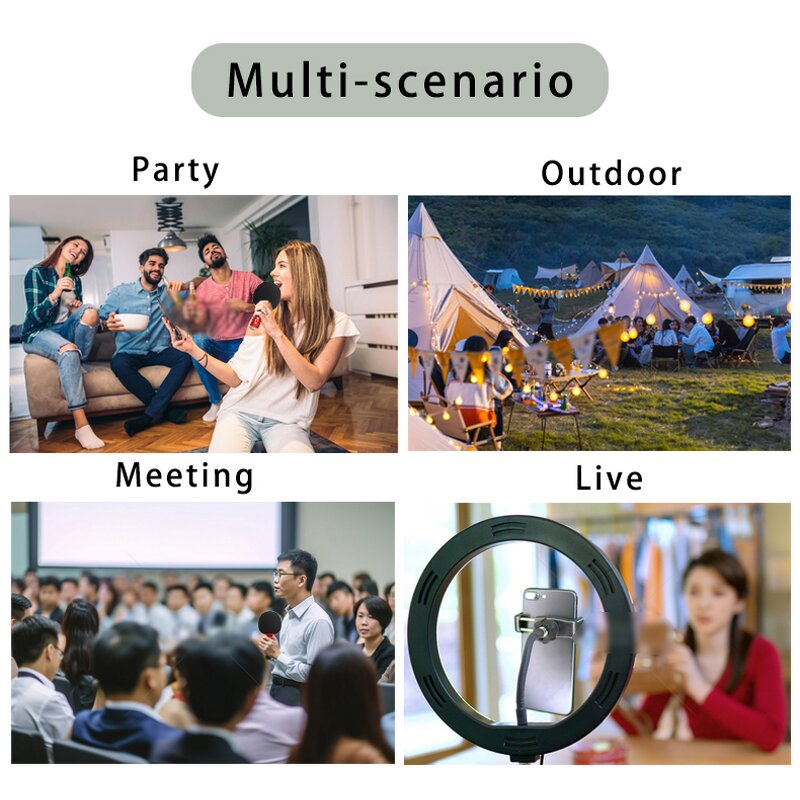 Wireless Microphone Factory - OEM/ODM BT Household Karaoke Mic Singing Live