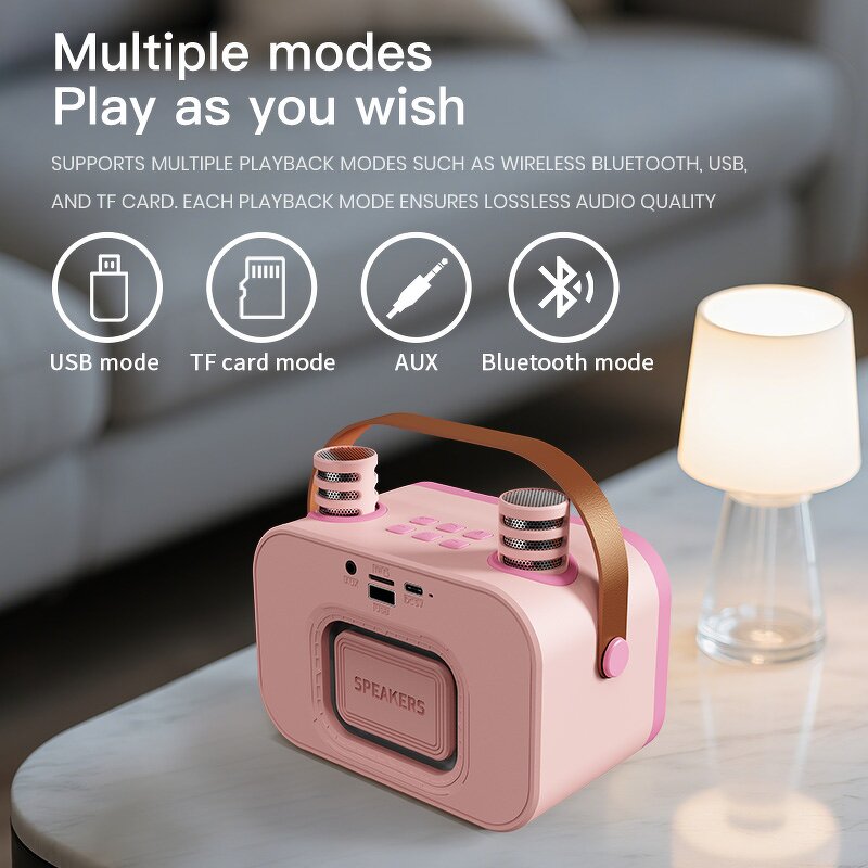 Outdoor Speaker Factory - OEM/ODM High Quality Karaoke Speaker Wireless Microphone