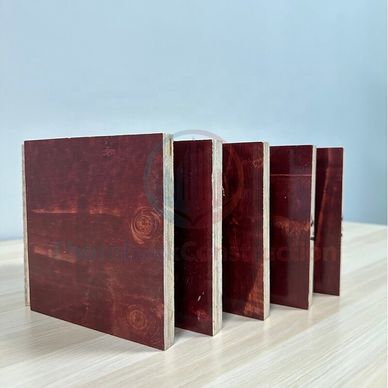 Concrete Formwork Panels Manufacturer - Energy-Efficient Reusable Pine