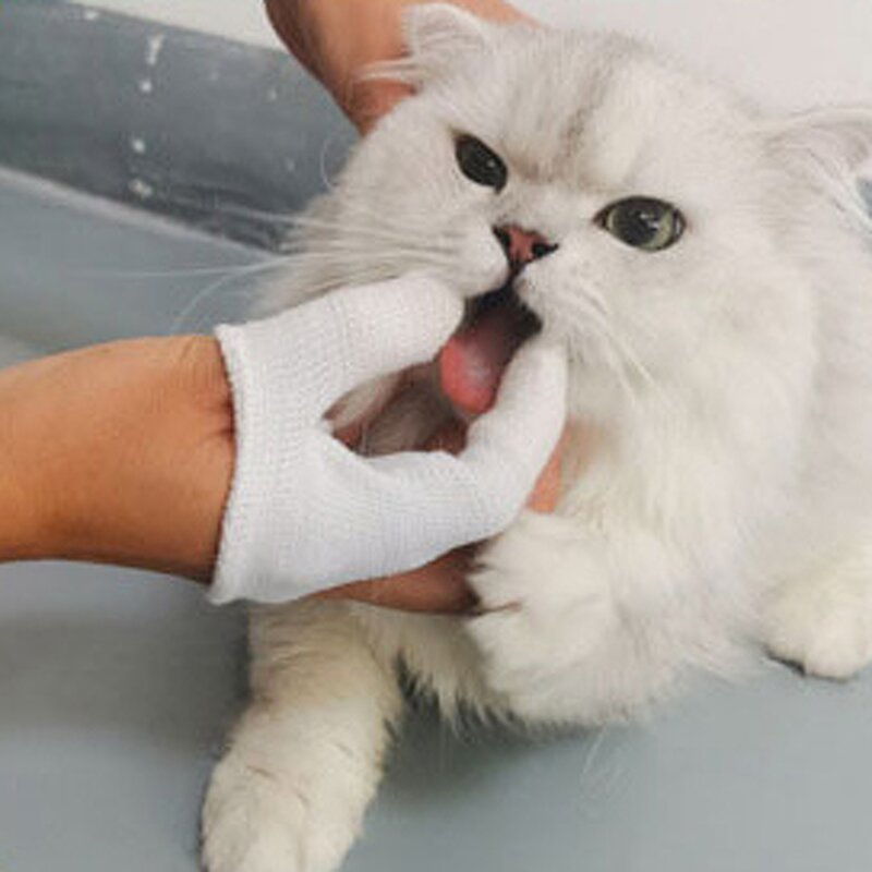 Dog Toothbrush Supplier - 360 Degree Teeth Cleaning Safety Gloves