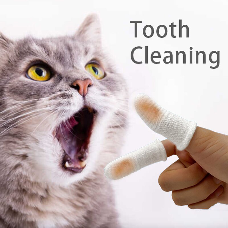 Dog Toothbrush Supplier - 360 Degree Teeth Cleaning Safety Gloves