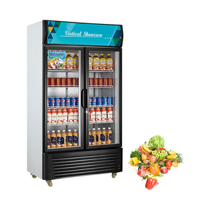 Commercial Refrigerator Factory - Glass Door Meat Display Dry Aging Fridge