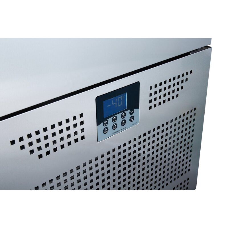 Commercial Freezer Manufacturer - Large Scale Double Door Freezing Machine