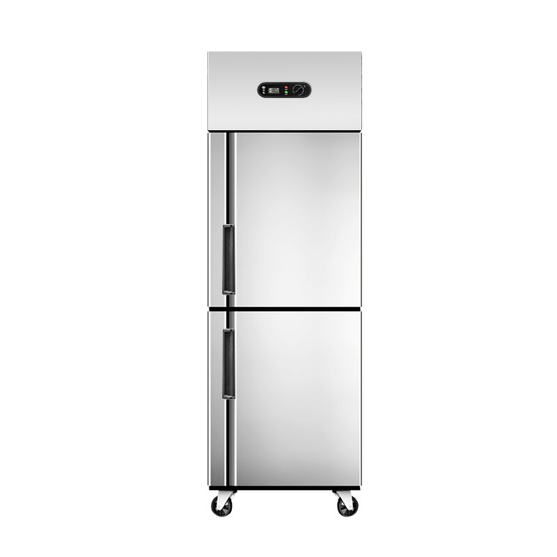 Commercial Freezer Manufacturer - Double Door Direct Cooling Compressor Freezer