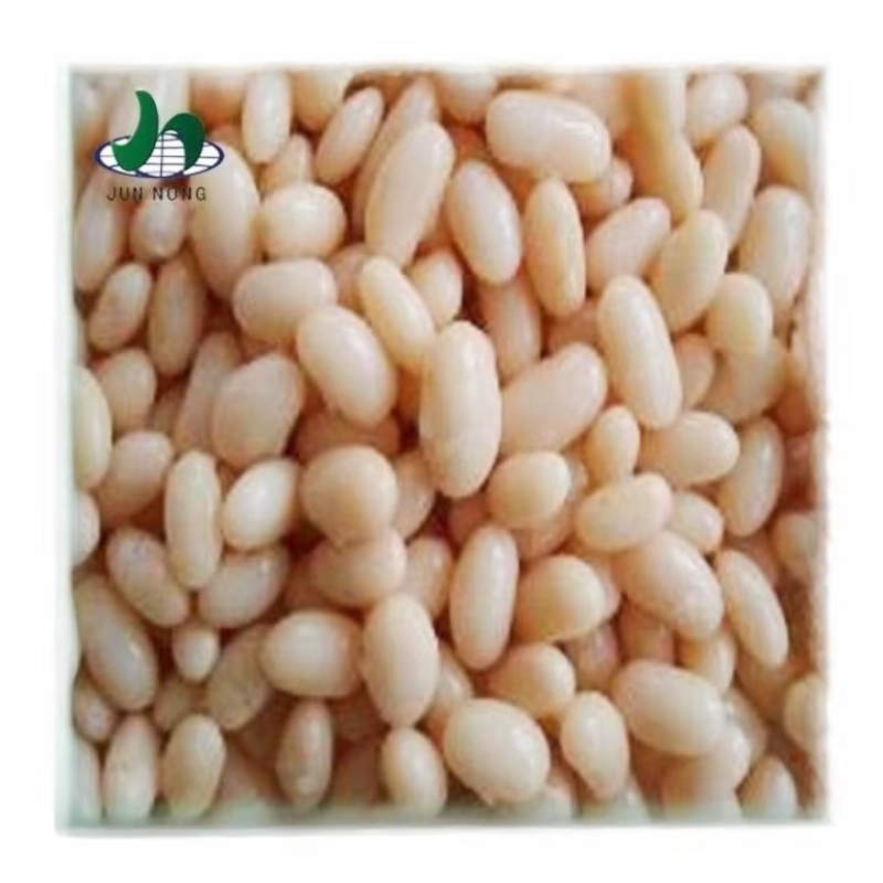Wholesale White Kidney Beans Canned Baked Beans With Tomato Sauce Low Price Manufacturers Bulk Packaging Halal Certified
