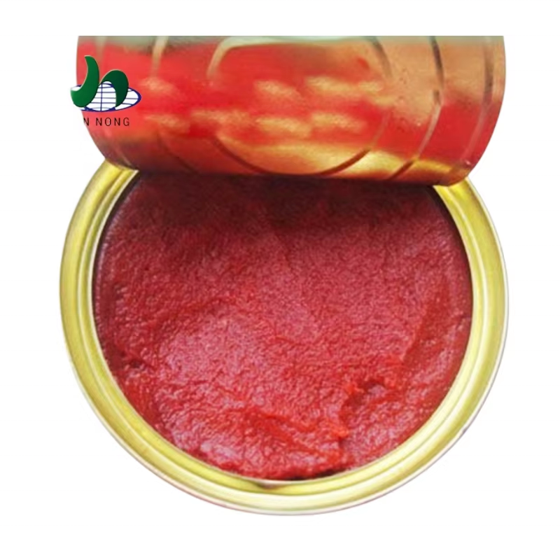 Good Quality Supplier Wholesale Tomate Concentre Canned Tin Tomatoes Paste Tomato Sauce Pure Natural Flavor