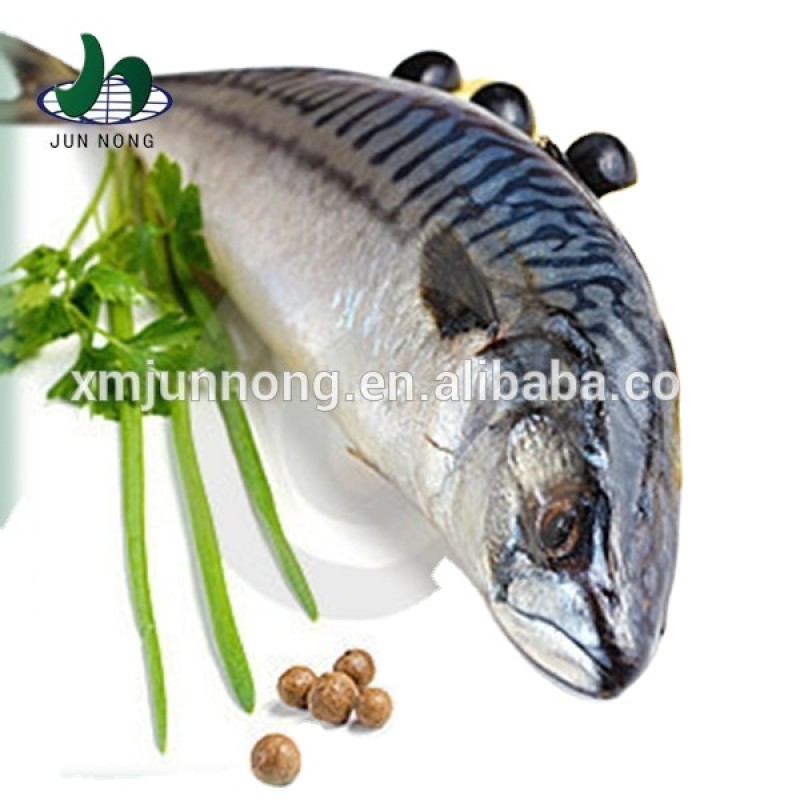 Season's Best Nutritious Ready-to-eat Canned Fish With Marinated Tuna Fillets in Soy Oil