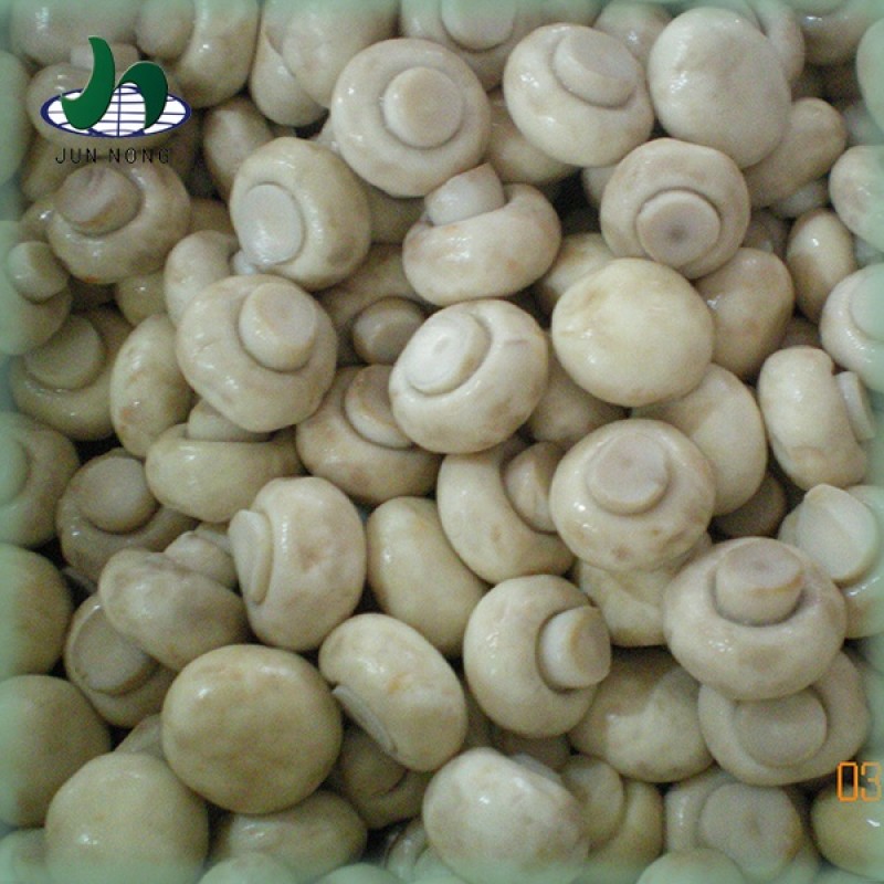 Wholesale Healthy Salt Steamed Flavor Canned Vegetables Whole Canned Mushrooms High Level Organic Standard Manufacturer